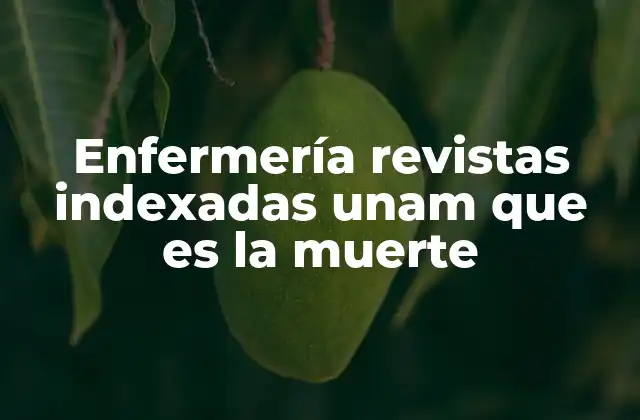 Enfermería Revistas Indexadas Unam que es la Muerte