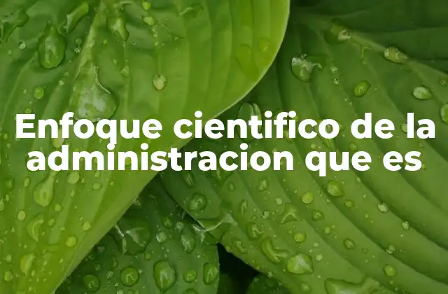 Enfoque Cientifico de la Administracion que es