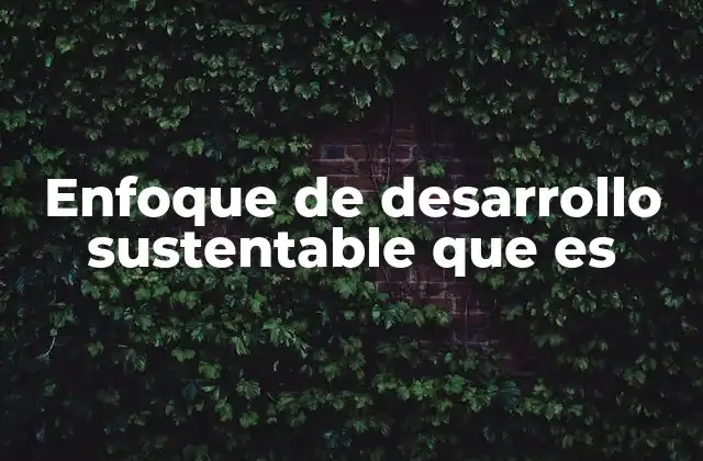 Enfoque de Desarrollo Sustentable que es