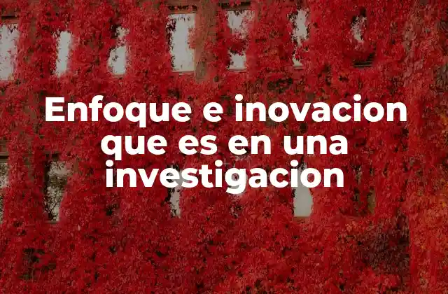 Enfoque e Inovacion que es en una Investigacion