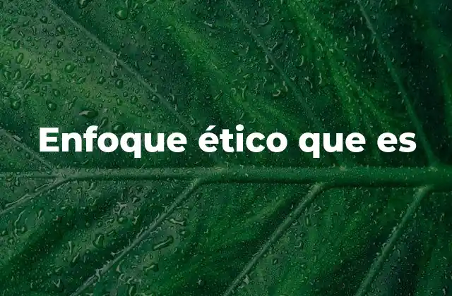 Enfoque Ético que es