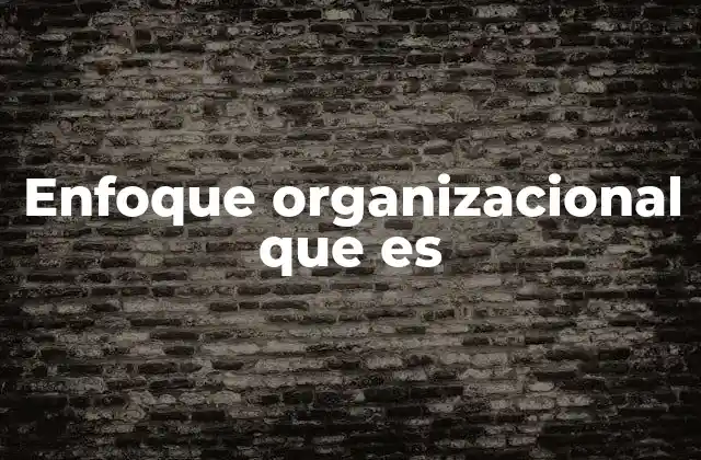 Enfoque Organizacional que es