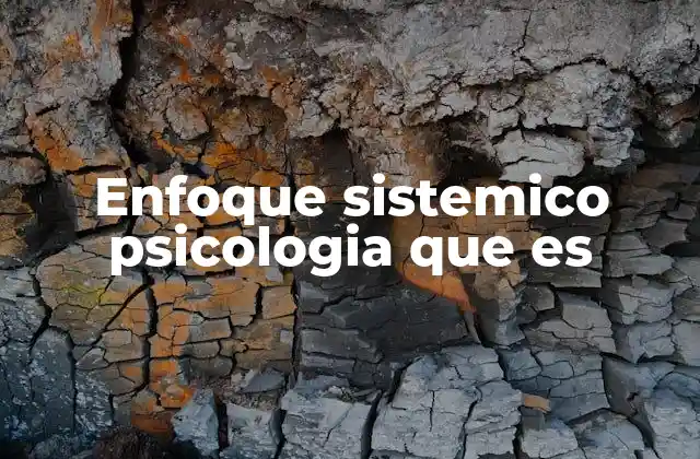 Enfoque Sistemico Psicologia que es