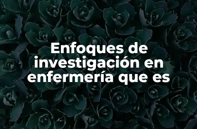 Enfoques de Investigación en Enfermería que es