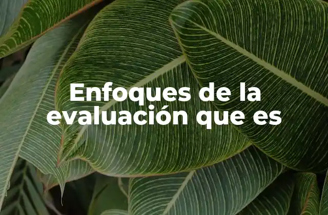 Enfoques de la Evaluación que es