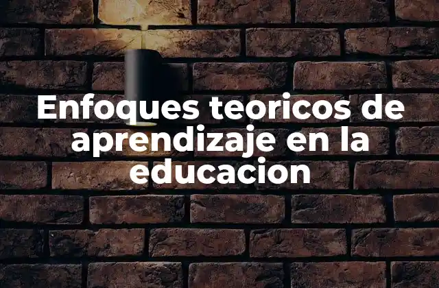 Enfoques Teoricos de Aprendizaje en la Educacion