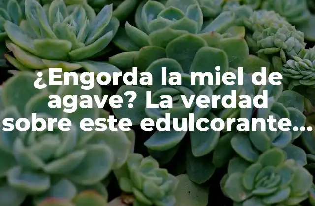 ¿engorda la Miel de Agave? la Verdad sobre Este Edulcorante Natural