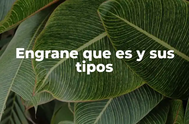 Engrane que es y Sus Tipos