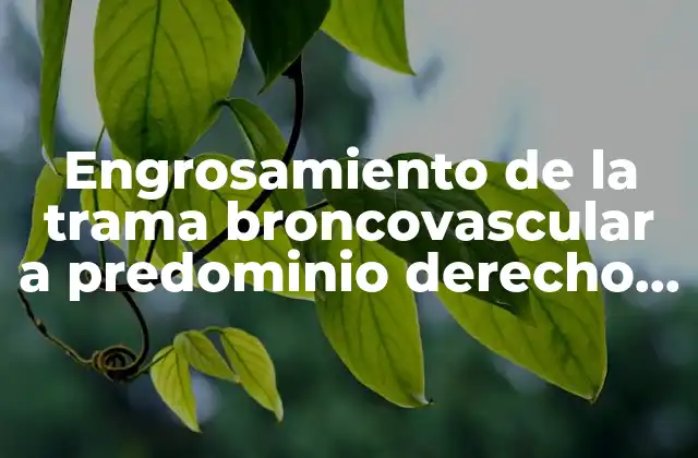 Engrosamiento de la Trama Broncovascular a Predominio Derecho que es