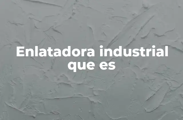 Enlatadora Industrial que es