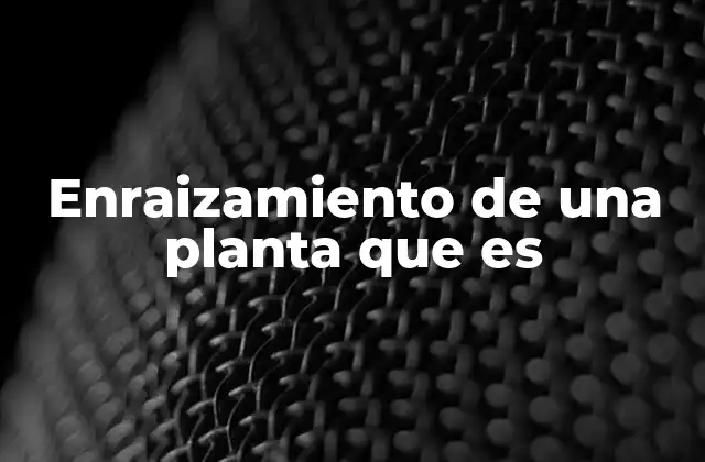 Enraizamiento de una Planta que es