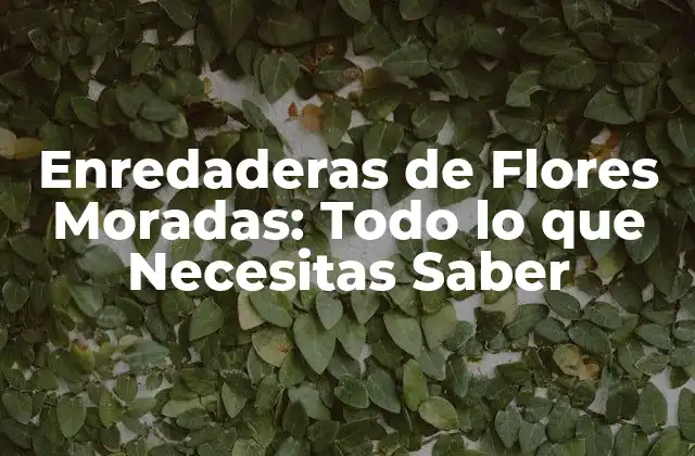 Características y Tipos de Enredaderas de Flores Moradas