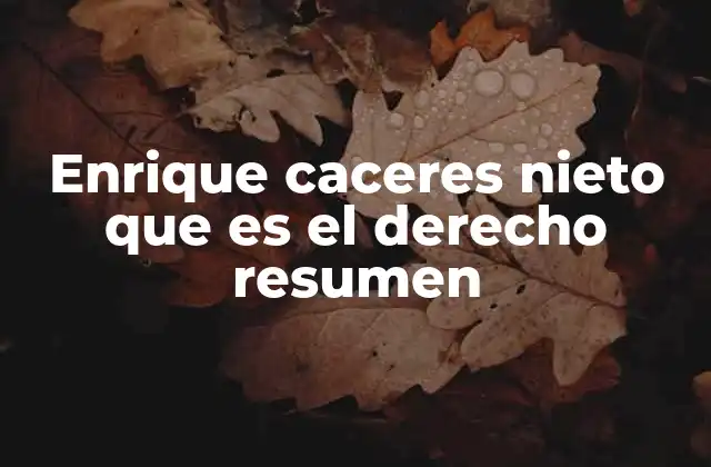 Enrique Caceres Nieto que es el Derecho Resumen 2 La importancia del derecho en la vida moderna