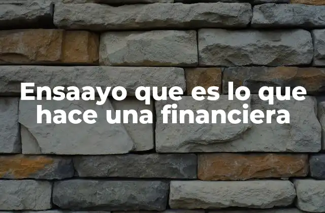 Ensaayo que es Lo que Hace una Financiera