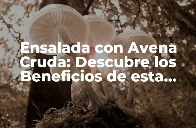 Ensalada con Avena Cruda: Descubre los Beneficios de Esta Comida Saludable