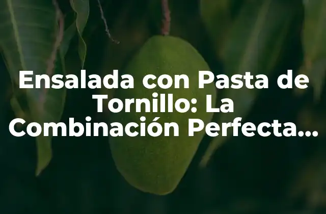 Ensalada con Pasta de Tornillo: la Combinación Perfecta para una Comida Saludable