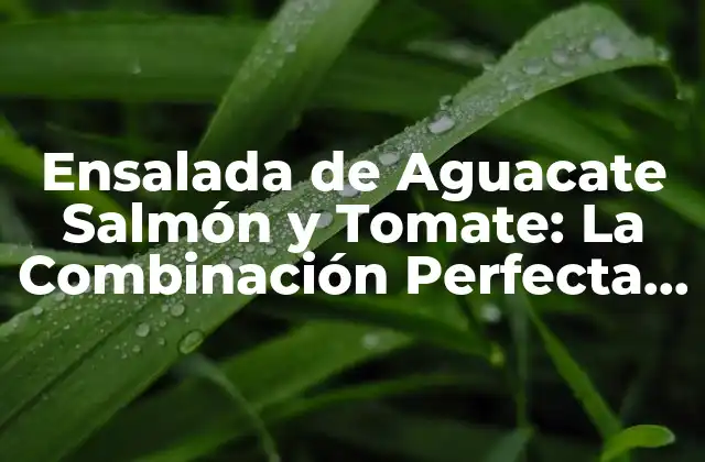 Ensalada de Aguacate Salmón y Tomate: la Combinación Perfecta de Sabor y Nutrición