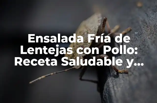 Ensalada Fría de Lentejas con Pollo: Receta Saludable y Deliciosa