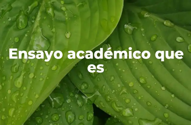 Ensayo Académico que es