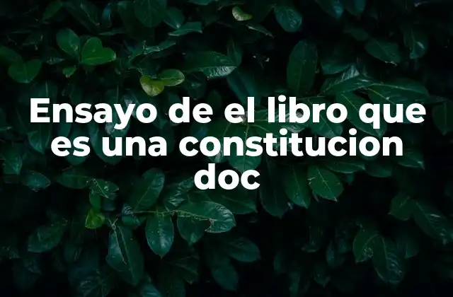 Ensayo de el Libro que es una Constitucion Doc