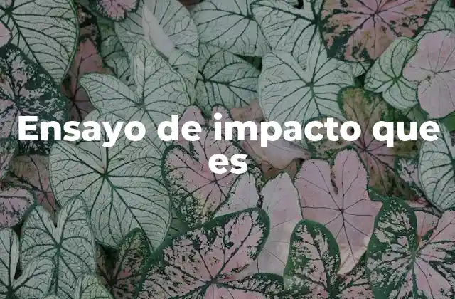 Ensayo de Impacto que es