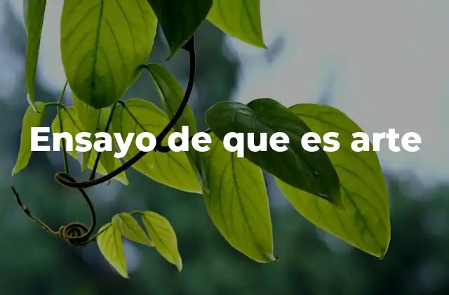 Ensayo de que es Arte