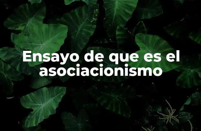 La importancia del asociacionismo en la sociedad moderna