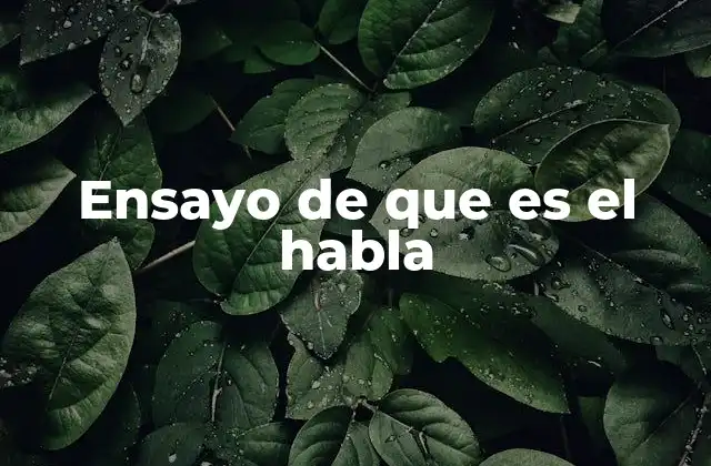 Ensayo de que es el Habla