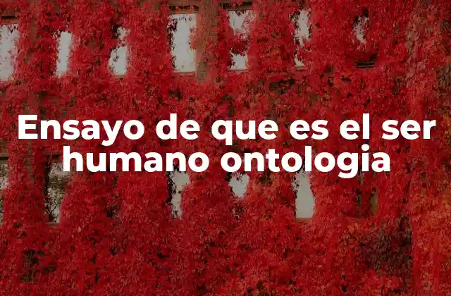 El ser humano en el contexto de la existencia universal