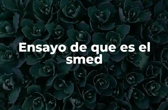 Ensayo de que es el Smed