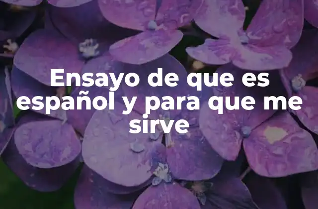 Ensayo de que es Español y para que Me Sirve