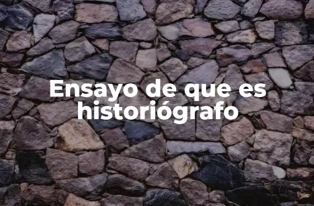Ensayo de que es Historiógrafo