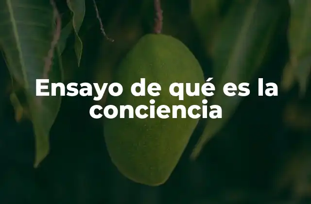 Ensayo de Qué es la Conciencia