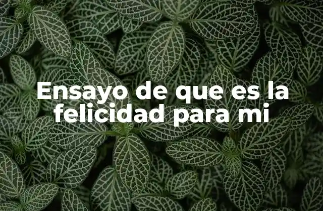 Ensayo de que es la Felicidad para Mi