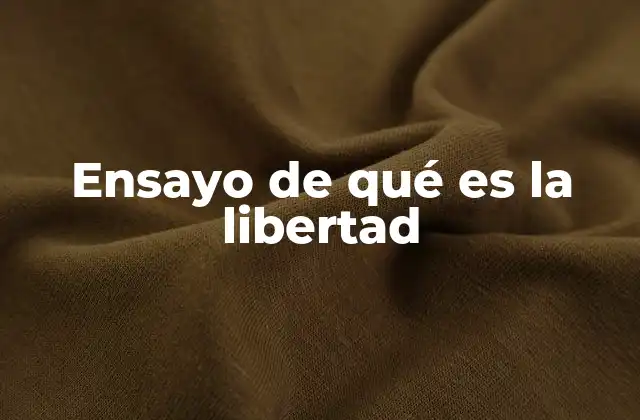 Ensayo de Qué es la Libertad