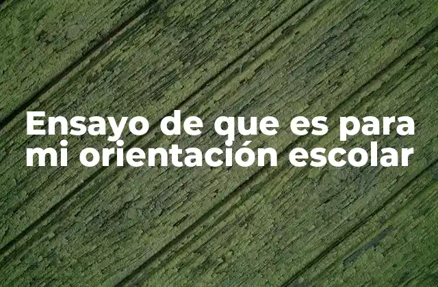Ensayo de que es para Mi Orientación Escolar