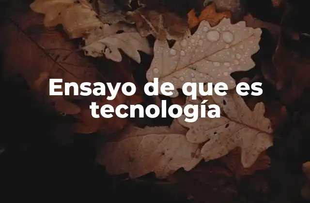 Ensayo de que es Tecnología