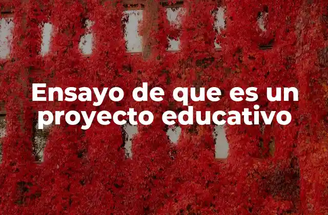 Ensayo de que es un Proyecto Educativo