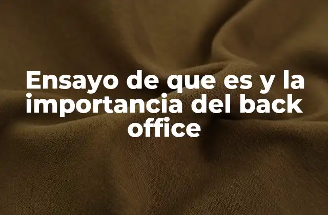 Ensayo de que es y la Importancia Del Back Office