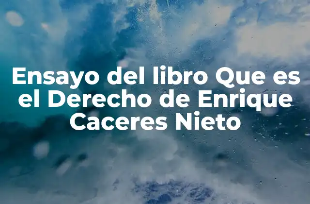 Ensayo Del Libro que es el Derecho de Enrique Caceres Nieto