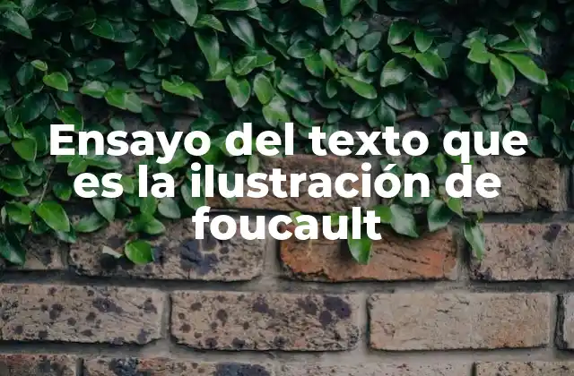 Ensayo Del Texto que es la Ilustración de Foucault