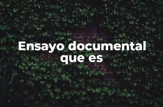 Ensayo Documental que es
