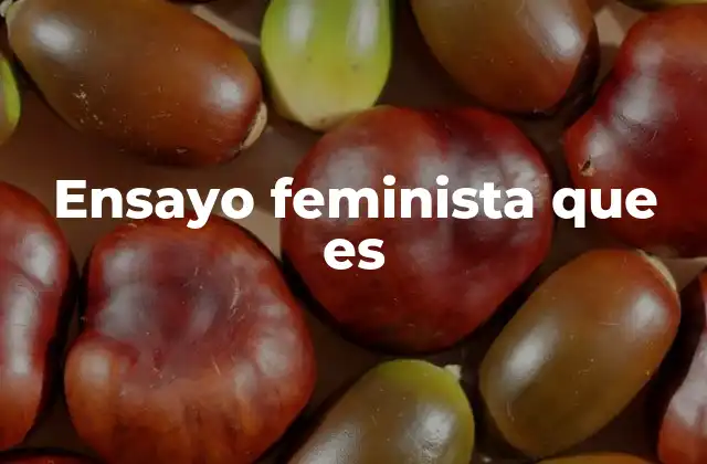 Ensayo Feminista que es