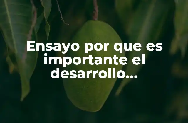 Ensayo por que es Importante el Desarrollo Organizacional