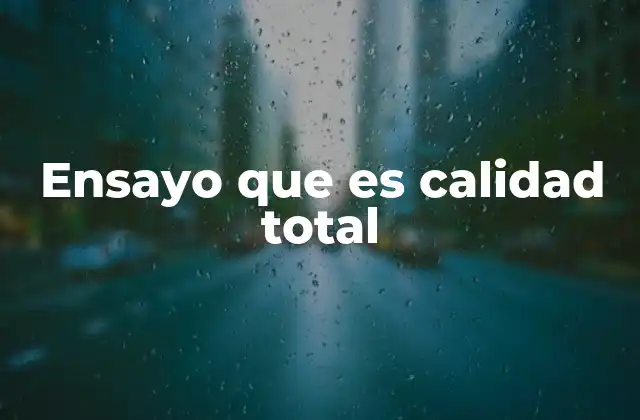 Ensayo que es Calidad Total 2 La importancia de comprender la calidad total en el contexto empresarial