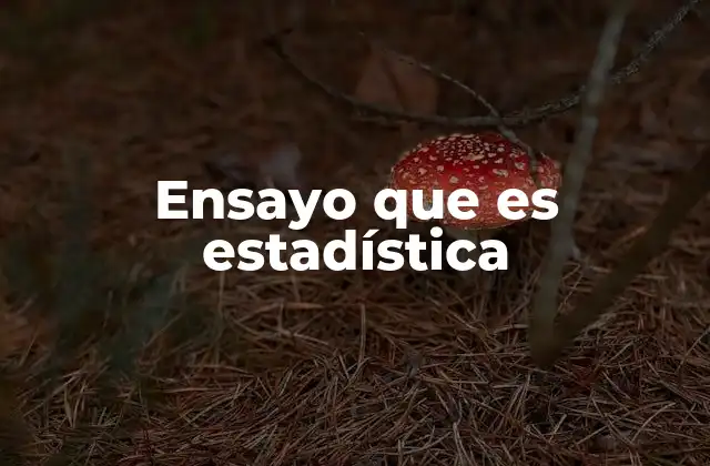 El papel de la estadística en la toma de decisiones