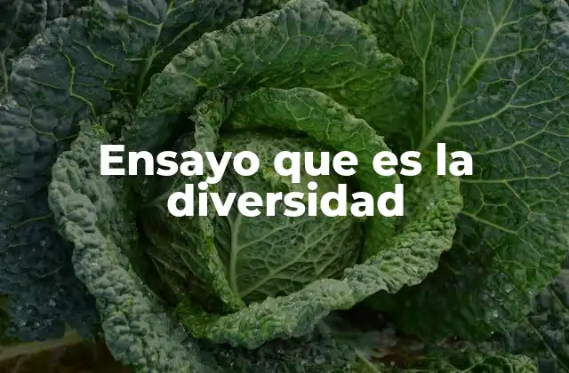 Ensayo que es la Diversidad