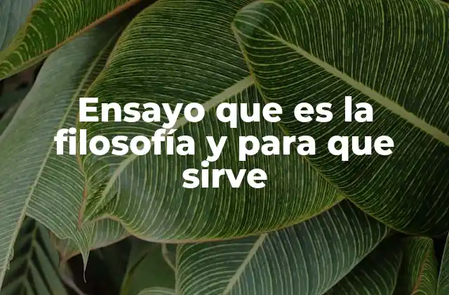 Ensayo que es la Filosofía y para que Sirve