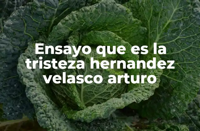 Ensayo que es la Tristeza Hernandez Velasco Arturo
