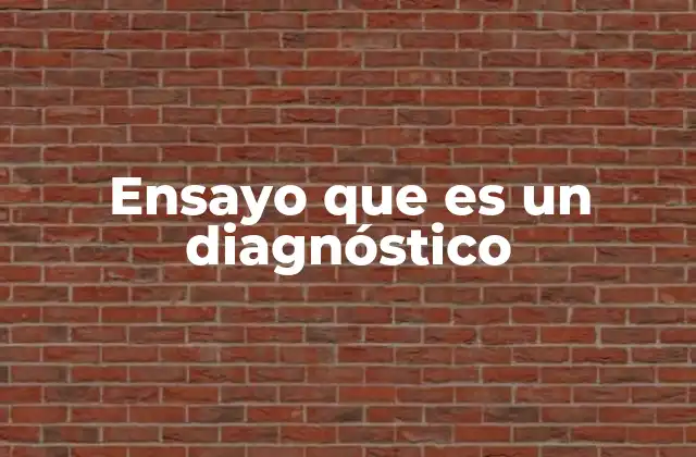 Ensayo que es un Diagnóstico 2 El ensayo como herramienta para entender problemas complejos